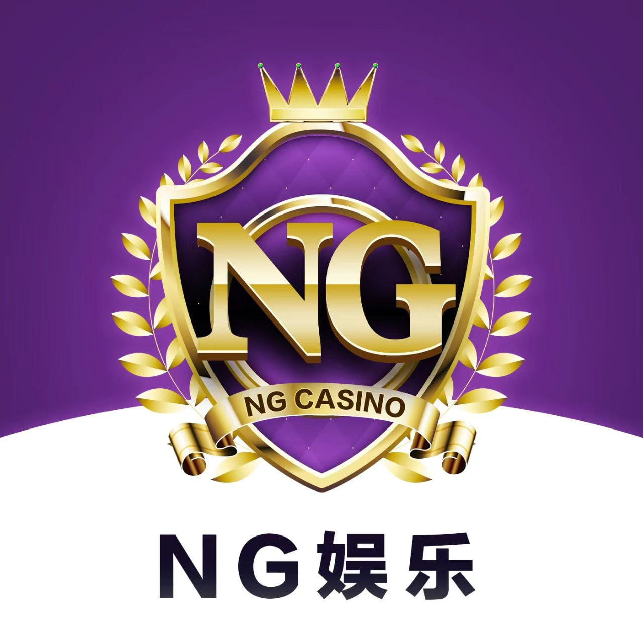 NG国际